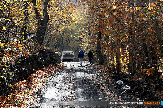 پاییز زیبا...