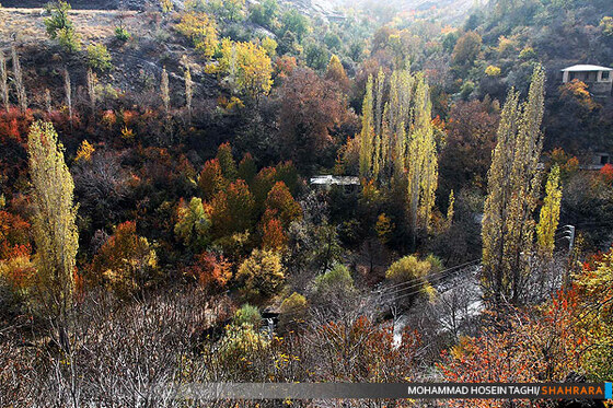 پاییز زیبا...