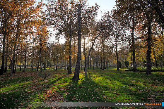 پاییز در پارک ملت