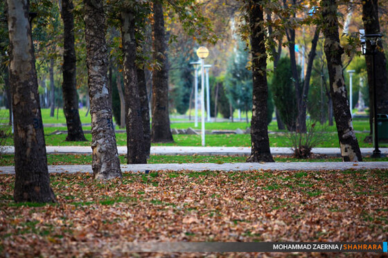 پاییز در پارک ملت