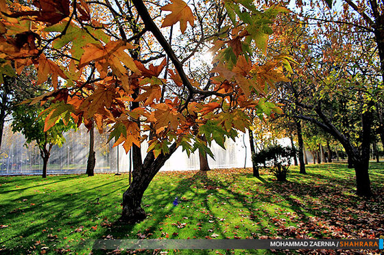 پاییز در پارک ملت