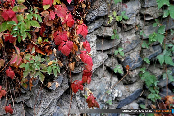 پاییز در پارک ملت