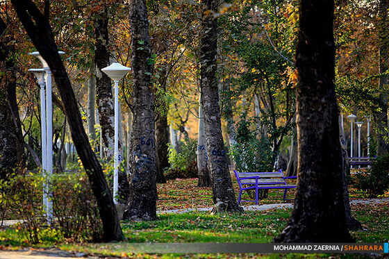 پاییز در پارک ملت