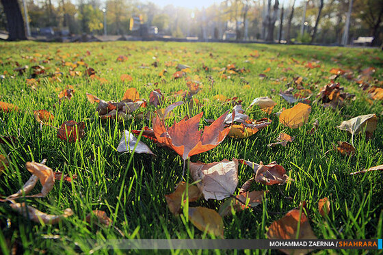 پاییز در پارک ملت