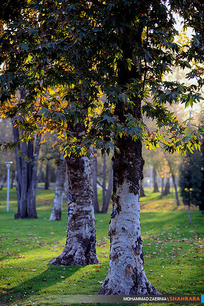 پاییز در پارک ملت