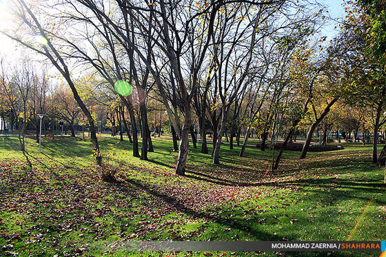 پاییز در پارک ملت