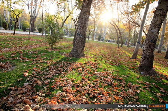 پاییز در پارک ملت
