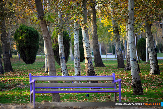 پاییز در پارک ملت