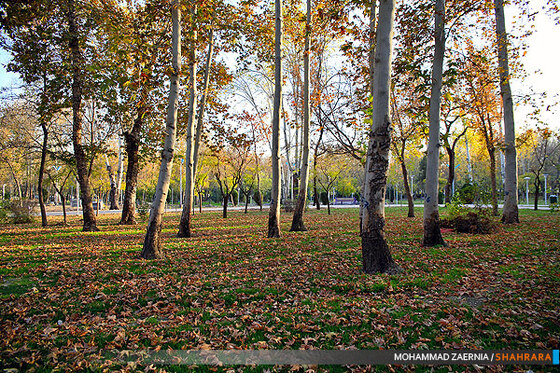 پاییز در پارک ملت