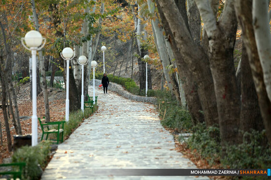 پاییز در بوستان وکیل آباد