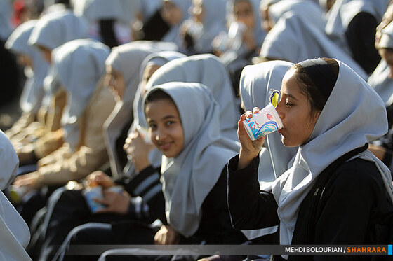 آغاز توزیع شیر رایگان در مدارس شهر مشهد
