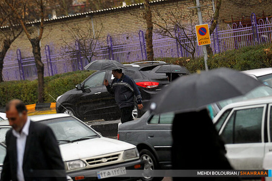 بارش باران در مشهد