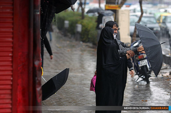 بارش باران در مشهد