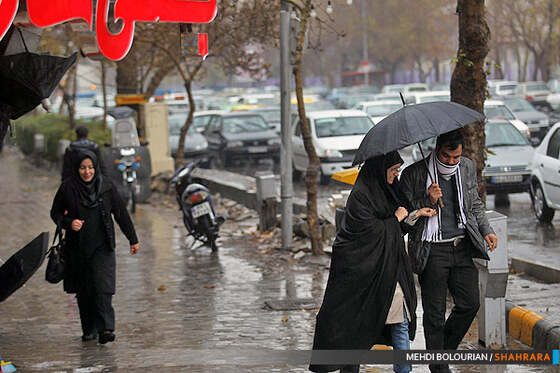 بارش باران در مشهد