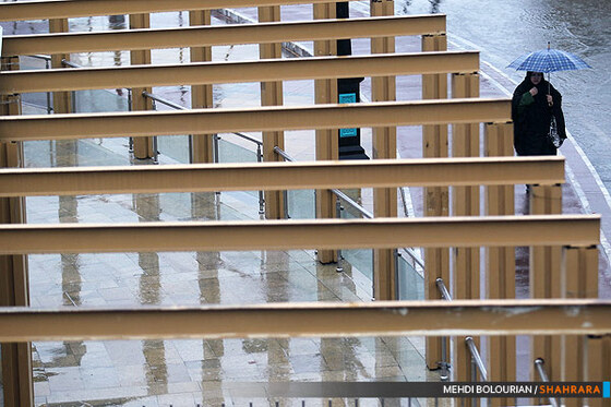 بارش باران در مشهد