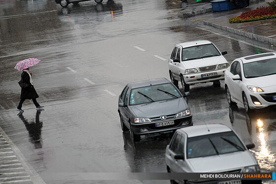 بارش باران در مشهد