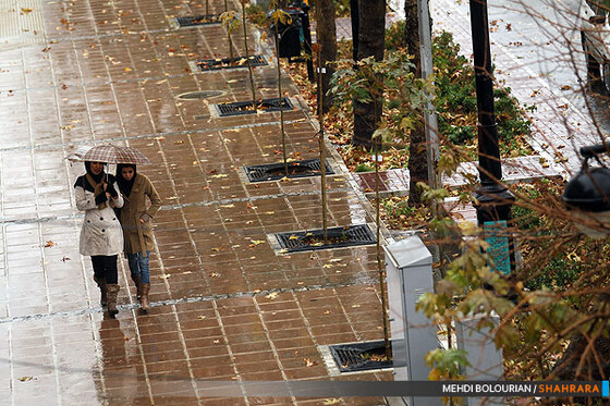 بارش باران در مشهد