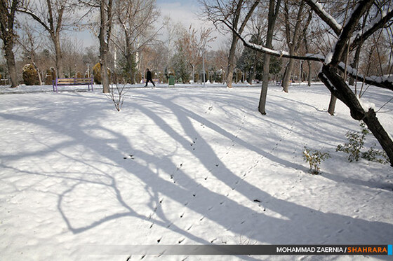 بارش اولین برف پاییزی در مشهد