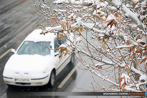 بارش اولین برف پاییزی در مشهد