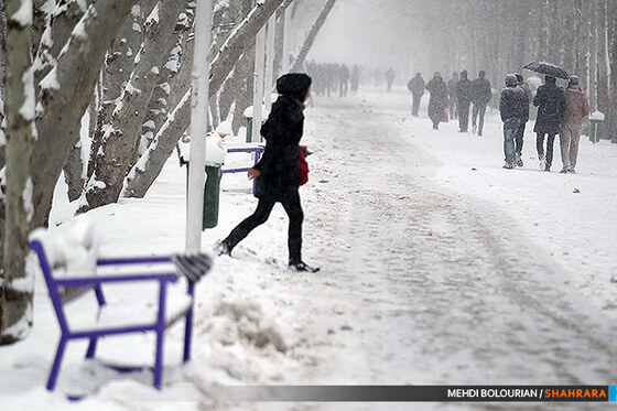 بارش برف در مشهد