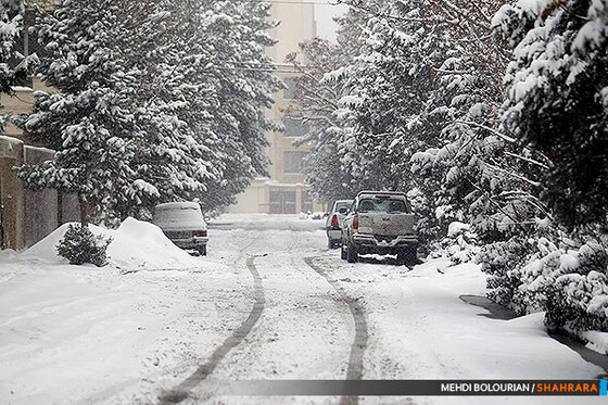 بارش برف در مشهد