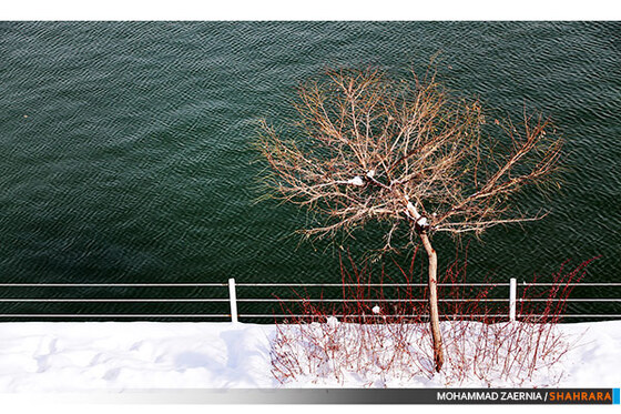 مناظر برفی کوهسنگی