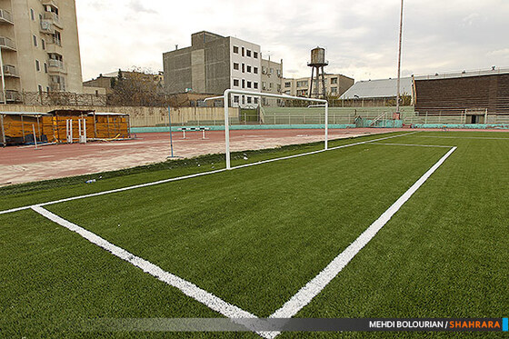 چمن مصنوعی مجموعه تختی