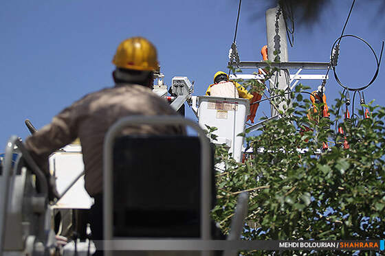 گروه ویژه خط گرم