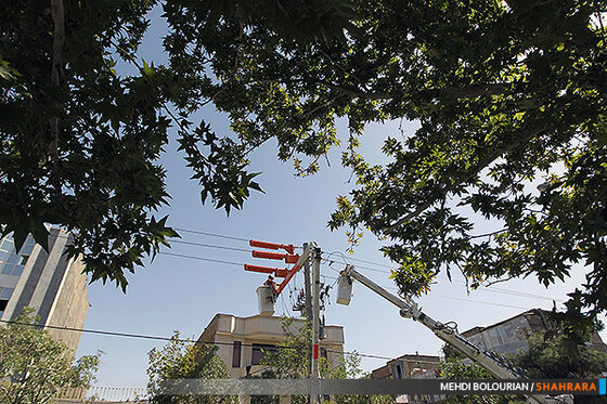 گروه ویژه خط گرم