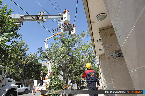 گروه ویژه خط گرم