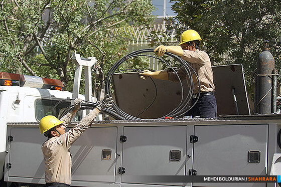 گروه ویژه خط گرم