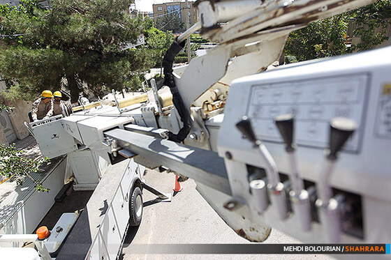 گروه ویژه خط گرم