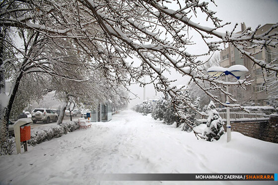 بارش برف در مشهد
