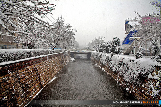 بارش برف در مشهد