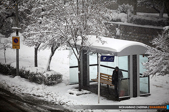 بارش برف در مشهد