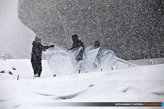بارش برف در مشهد