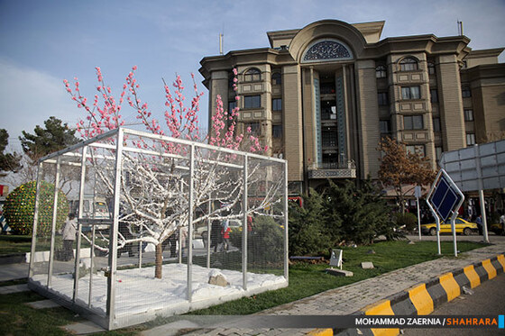 مشهد در آستانه بهار