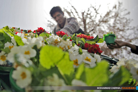 مشهد در آستانه بهار