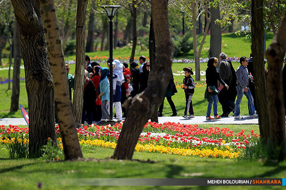 جشنواره گل های پیازی