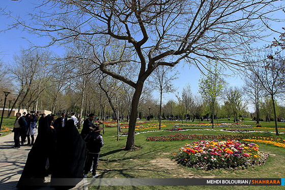 جشنواره گل های پیازی