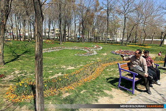 جشنواره گل های پیازی