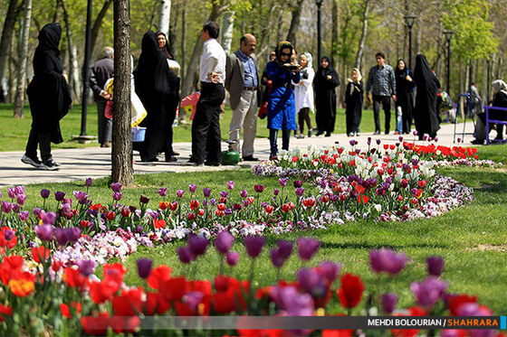 جشنواره گل های پیازی