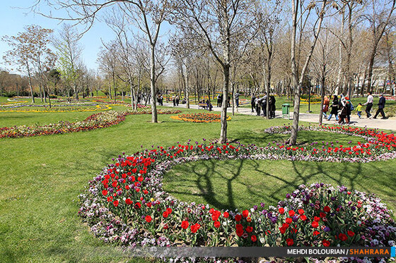 جشنواره گل های پیازی