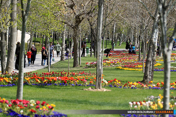 جشنواره گل های پیازی