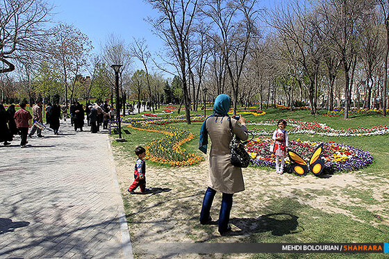 جشنواره گل های پیازی