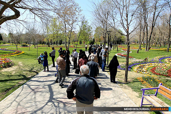 جشنواره گل های پیازی