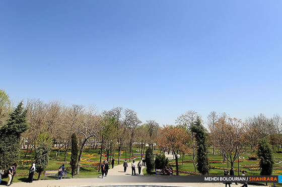 جشنواره گل های پیازی