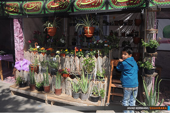 بهار در بهار