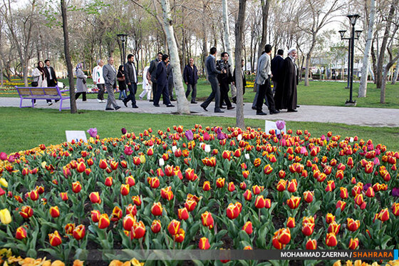 بازدید شهردار و اعضای شورا از جشنواره گل های پیازی