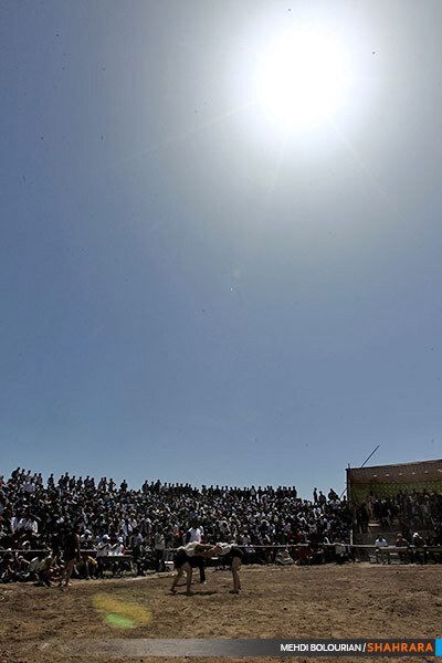 مسابقات کشتی چوخه گرماب